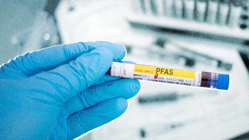 Relacionan ciertas "sustancias químicas eternas" con un envejecimiento biológico más rápido