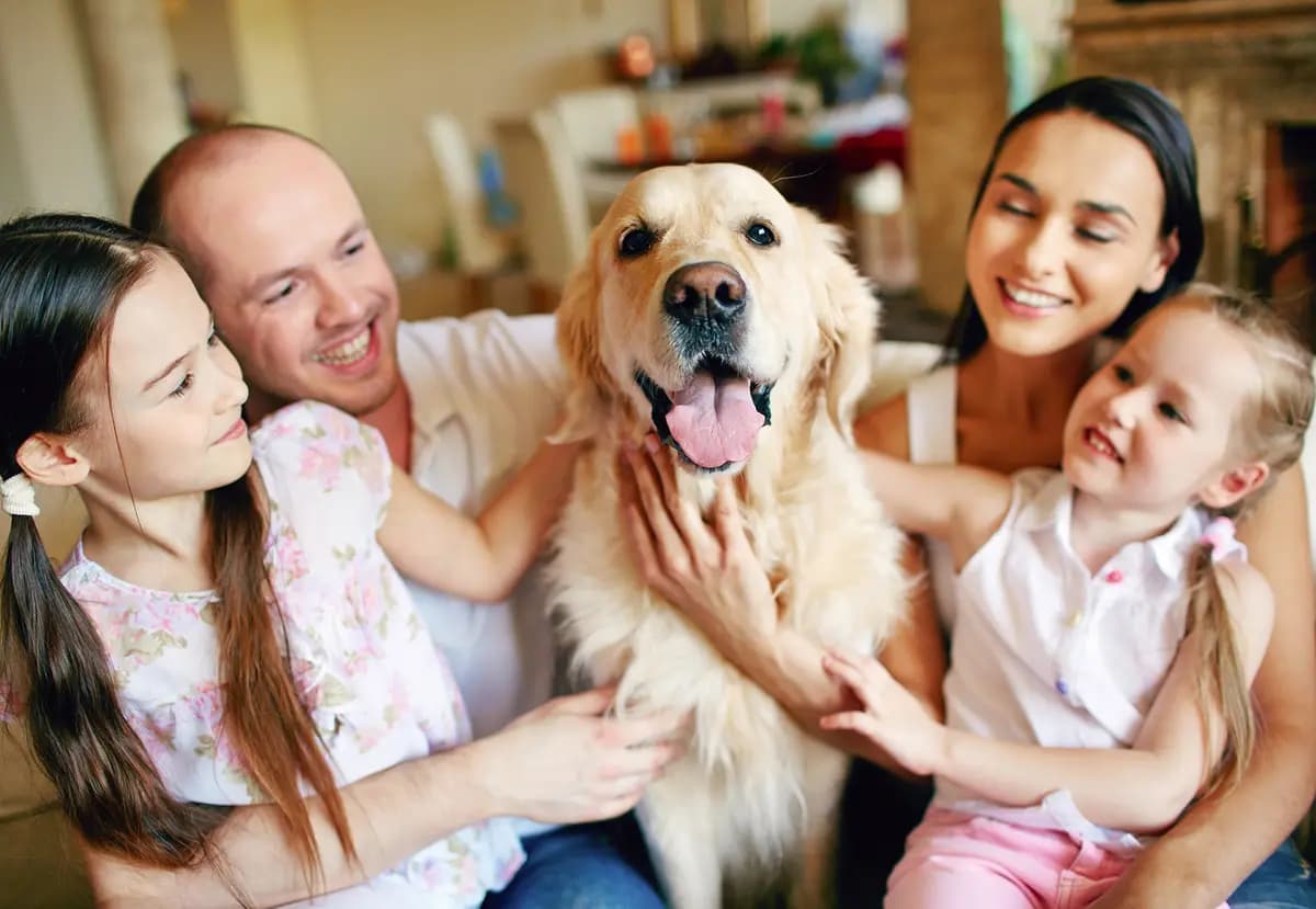 Para muchos niños, las primeras relaciones con las mascotas representan una de sus primeras oportunidades para experimentar el apego, el cuidado y el vínculo emocional junto a sus padres y hermanos. (Pressmaster/Getty Images)