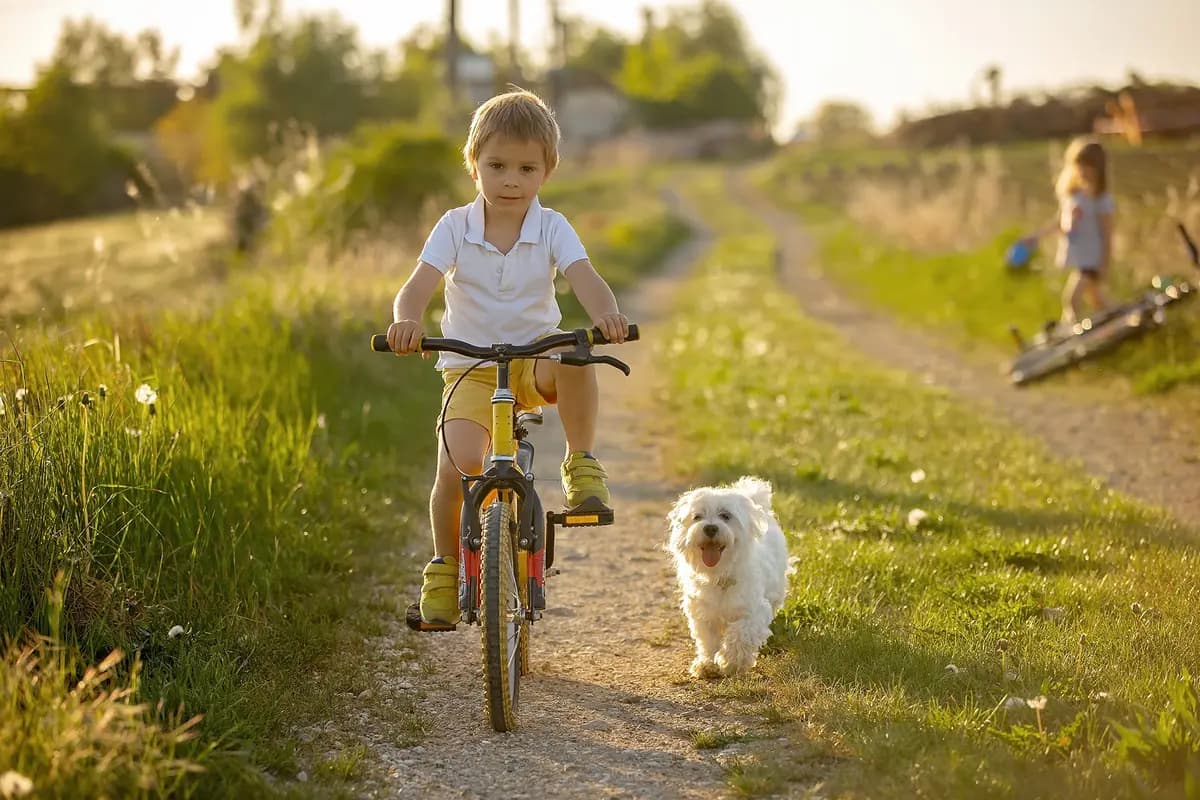 Pasar tiempo al aire libre con animales puede aumentar la conexión de un niño con la naturaleza. (Tomsickova Tatyana/Shutterstock)
