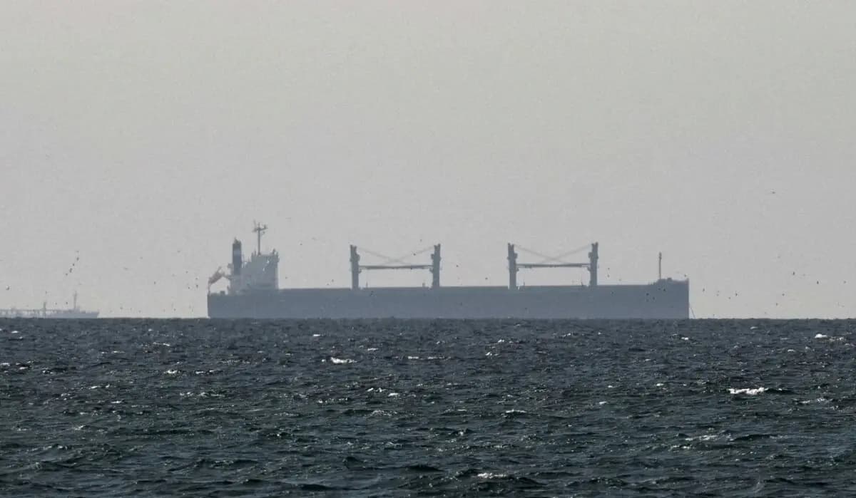 Un buque de carga fondeado en el golfo de Omán, cerca del estrecho de Ormuz, visto desde el norte de Ras al-Khaimah, cerca de la frontera con la provincia de Musandam (Omán), en los Emiratos Árabes Unidos, el 11 de marzo de 2026. (Stringer/Reuters)