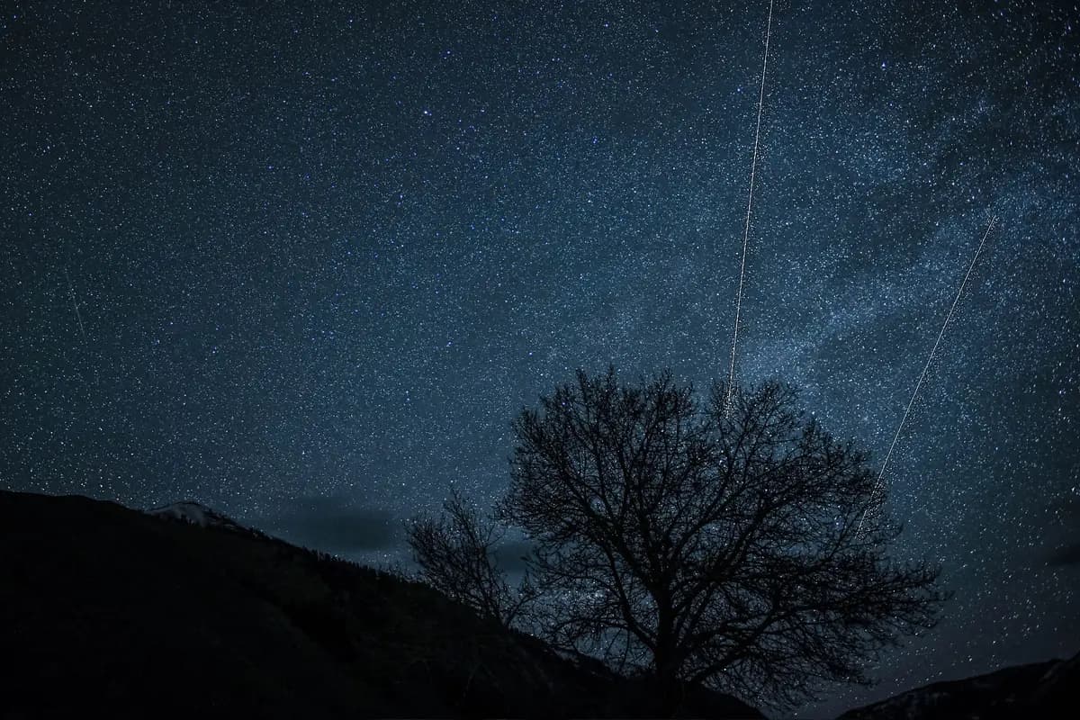 <em>Las Líridas surcan el cielo nocturno sobre Sun Valley, Idaho. (Cortesía de Nils Ribi).</em>