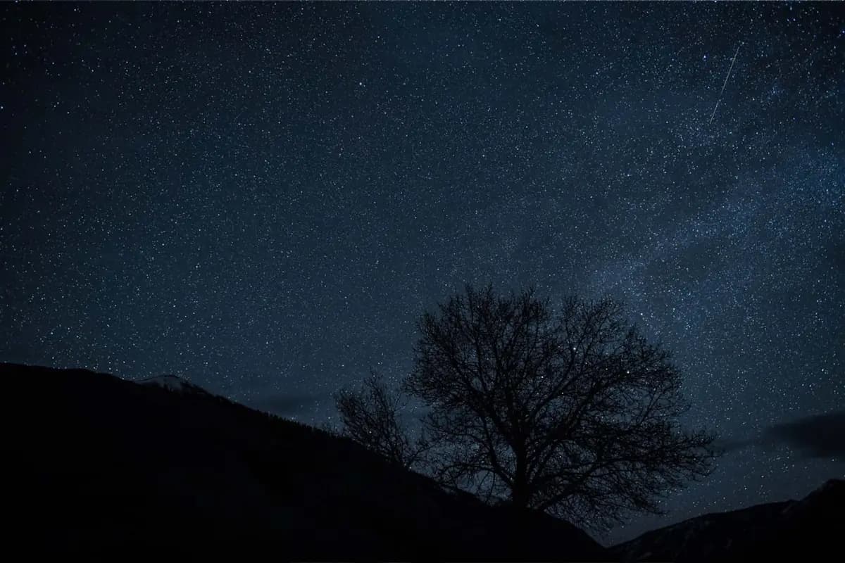<em>Las Líridas iluminan el cielo nocturno sobre Sun Valley, Idaho. (Cortesía de Nils Ribi).</em>