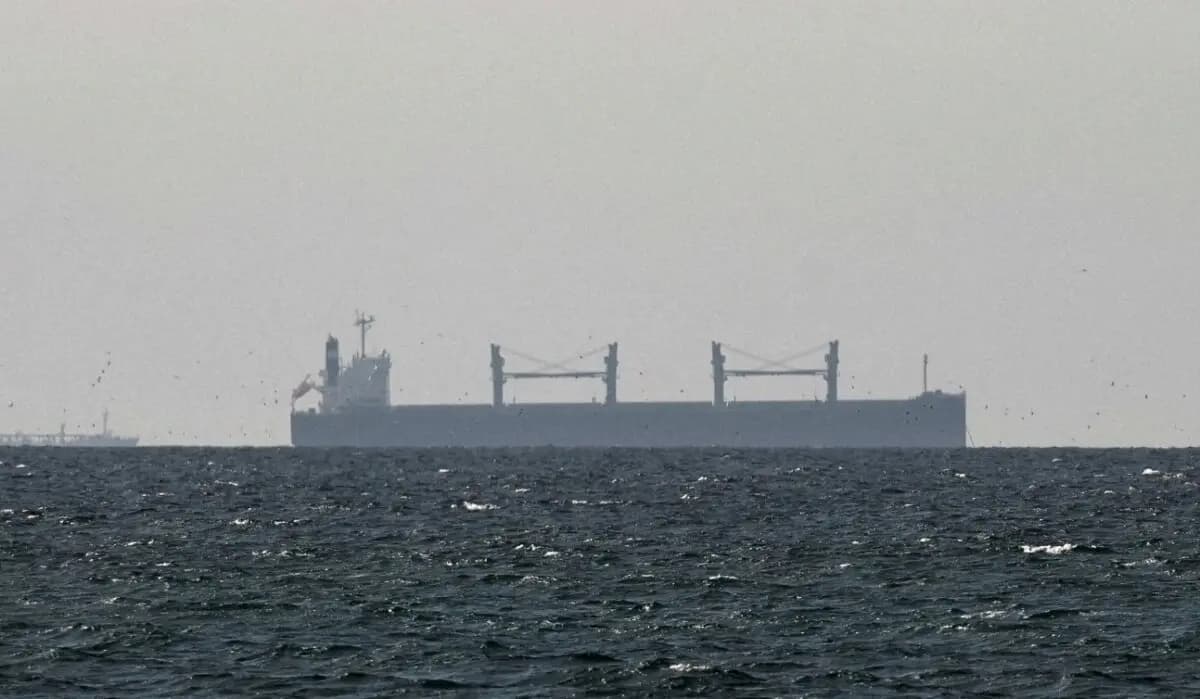 Un buque de carga fondeado en el golfo de Omán, cerca del estrecho de Ormuz, visto desde el norte de Ras al-Khaimah, cerca de la frontera con la provincia de Musandam de Omán, en los Emiratos Árabes Unidos, el 11 de marzo de 2026. (Stringer/Reuters)