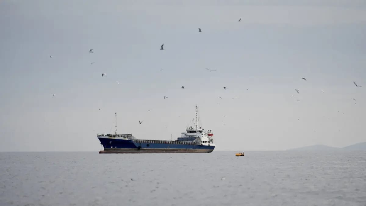 Un buque en el estrecho de Ormuz, frente a la costa de la provincia de Musandam, en Omán, el 12 de abril de 2026. (Reuters)