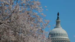 Senado rechaza resolución para impedir que Trump lance operaciones militares contra Cuba
