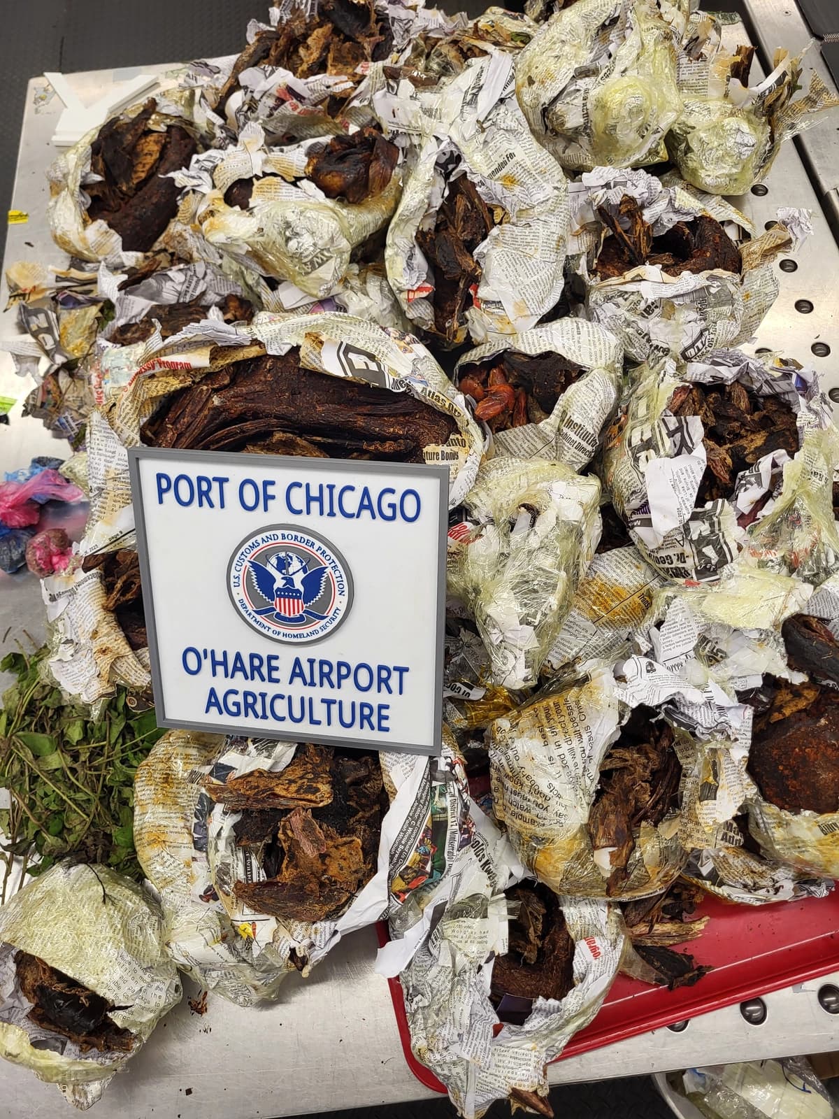 La CBP incauta el cadáver de un mono y 57 kilos de carne prohibida en el aeropuerto de Chicago