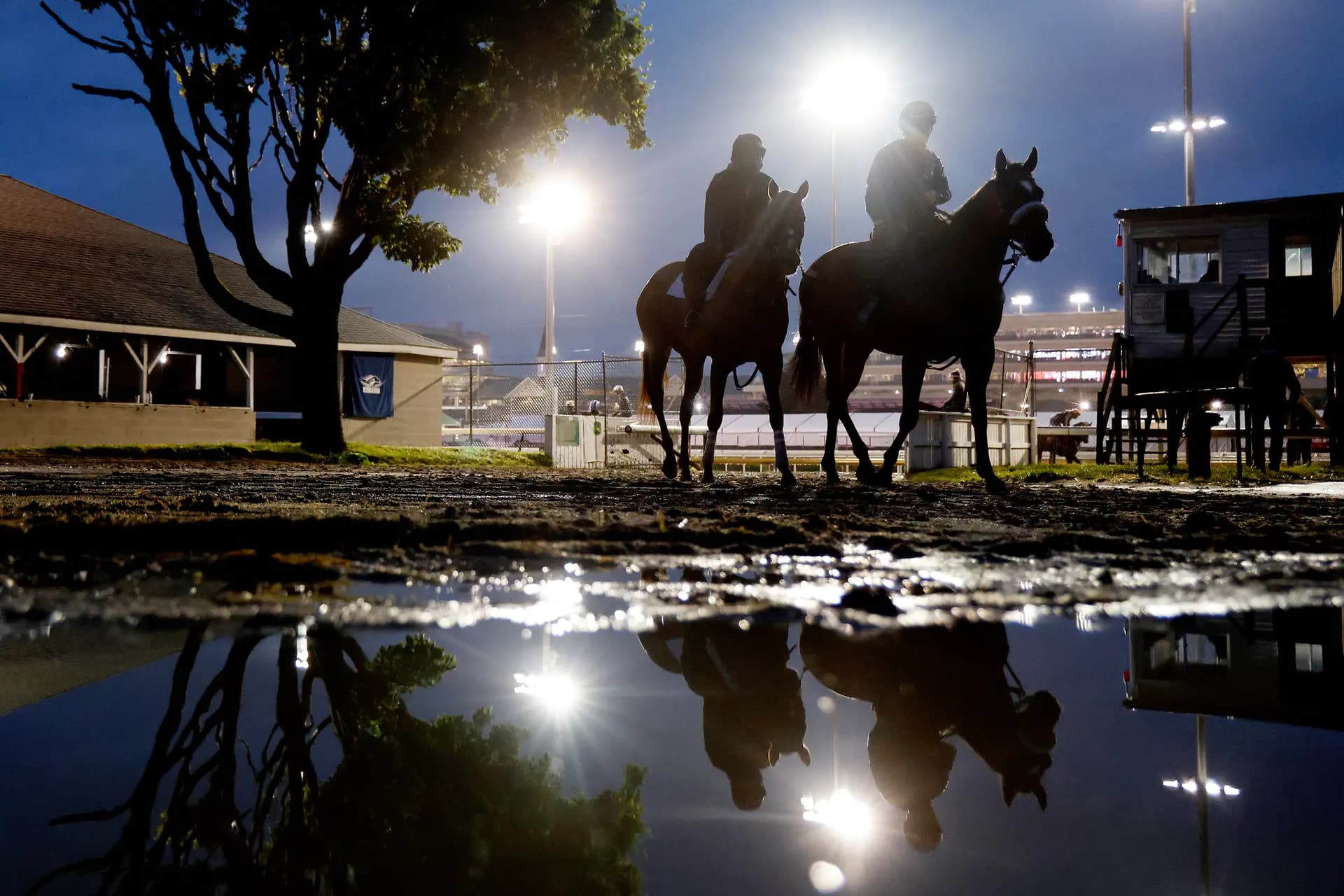 Los caballos regresan a la zona de los establos durante los entrenamientos matutinos previos a la celebración de la 152.ª edición del Derby de Kentucky en Churchill Downs, Louisville, Kentucky, el 29 de abril de 2026. (Michael Reaves/Getty Images).