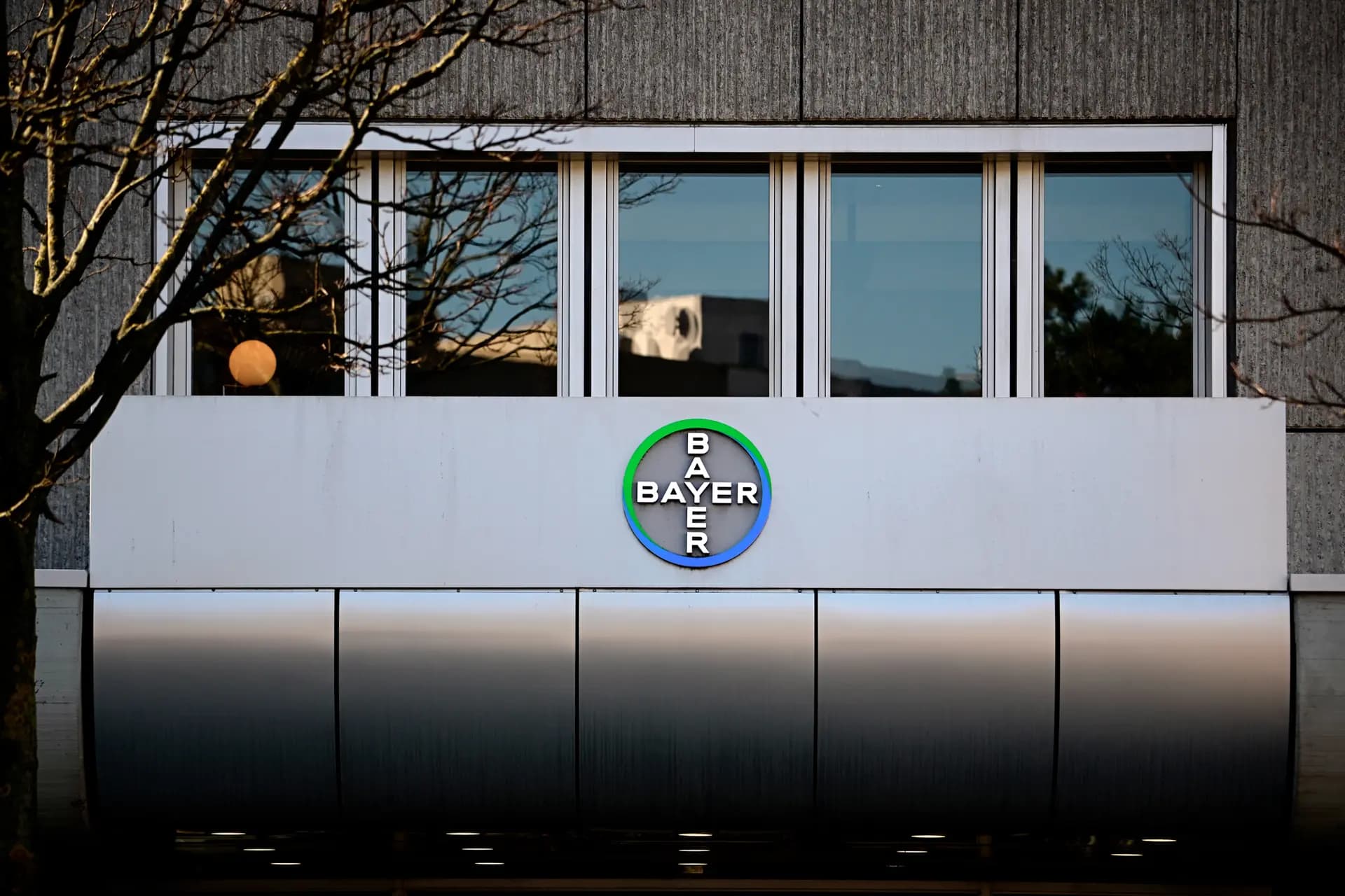El logotipo de Bayer se exhibe en las instalaciones de la empresa en Berlín el 4 de marzo de 2026. La Corte Suprema escuchará los argumentos el 27 de abril en un caso que involucra a Monsanto, adquirida por Bayer en 2018. (Tobias Schwarz/AFP vía Getty Images)