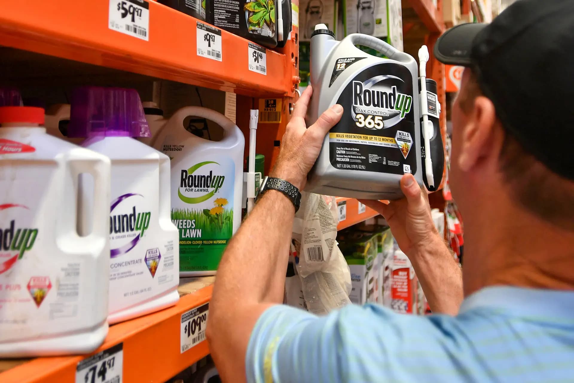 Un cliente compra el herbicida Roundup en San Rafael, California, el 9 de julio de 2018. Brasil, Francia, Bermudas, Sri Lanka, Colombia, Austria, Alemania, los Emiratos Árabes Unidos, Italia y otros países han tomado medidas para prohibir o restringir la venta de Roundup y de herbicidas a base de glifosato. (Josh Edelson/AFP vía Getty Images)