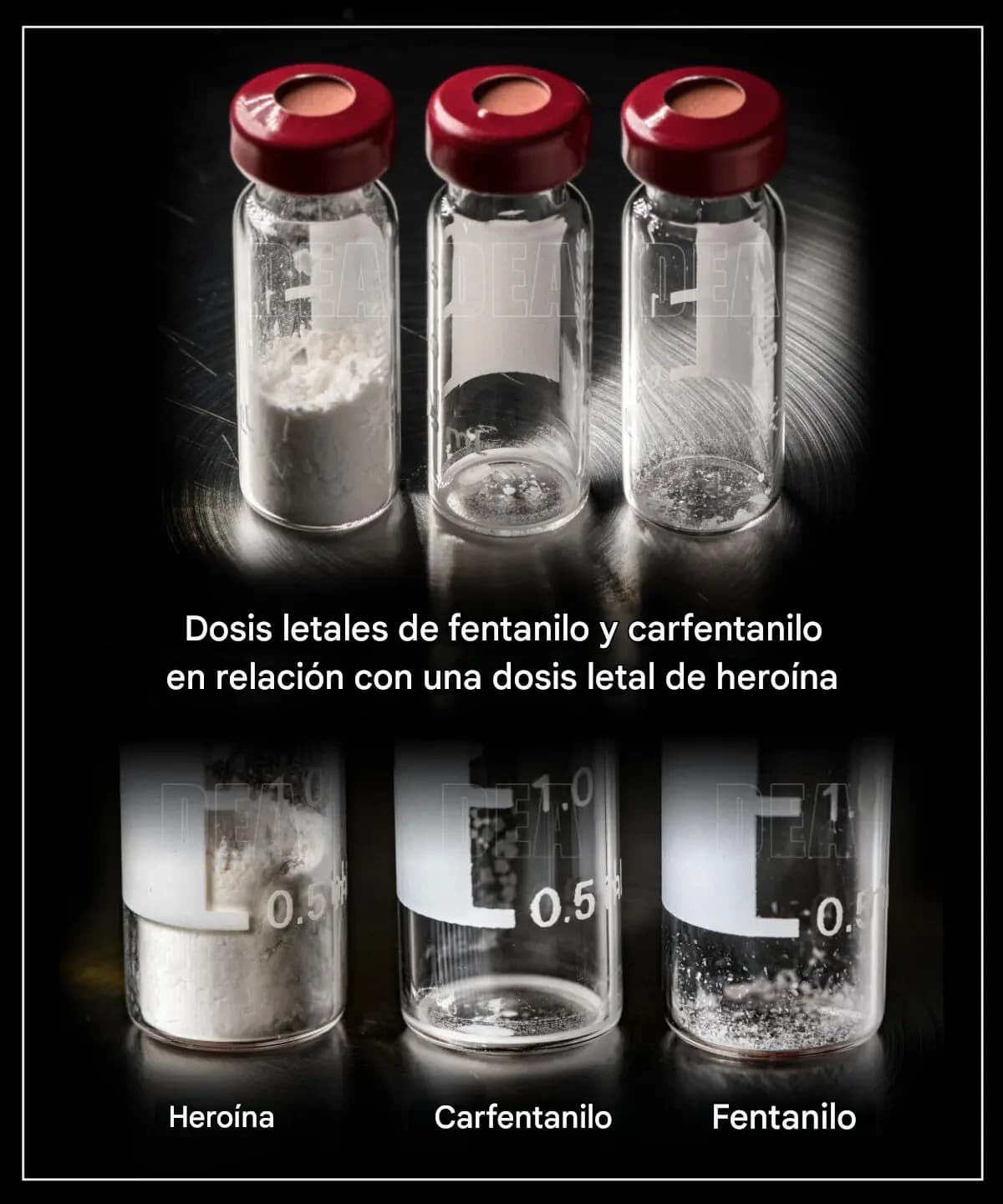 Una comparación de las dosis letales de heroína, carfentanilo y fentanilo. (Agencia Antidrogas)