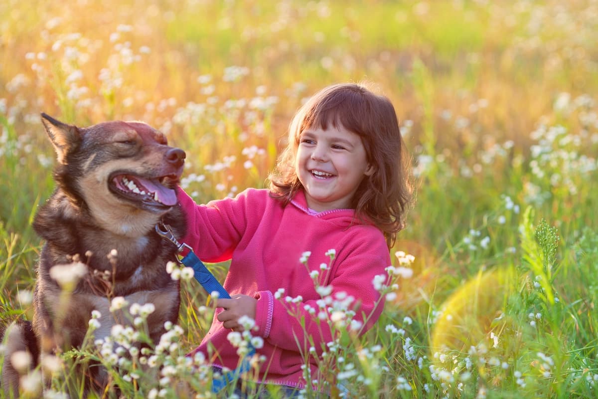Estudios sobre el desarrollo infantil sugieren que la interacción regular con animales puede favorecer la empatía, la responsabilidad y el desarrollo socioemocional en los niños. (vvvita/Shutterstock).
