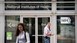 NIH anuncia anticuerpos clave que abren la puerta a tratamientos contra el sarampión