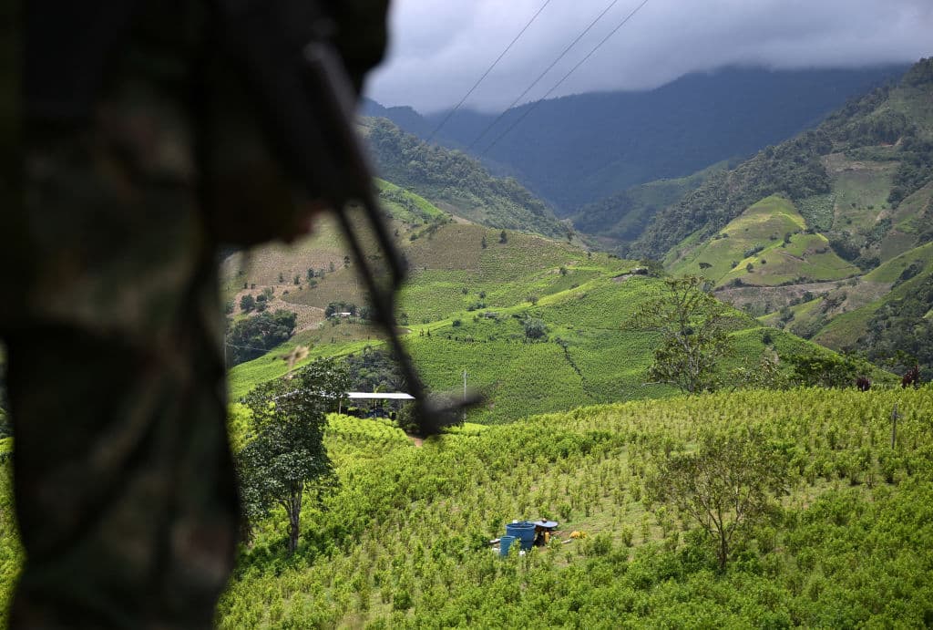 <em>Un miembro del Frente Carlos Patiño de la guerrilla disidente de las FARC patrulla junto a cultivos de coca en el Cañón de Micay, una zona montañosa y bastión del EMC en el departamento del Cauca, al suroeste de Colombia, el 24 de marzo de 2024. Extensas plantaciones de coca de un verde intenso cubren las laderas del estrecho Cañón de Micay, corazón del territorio de la guerrilla colombiana, que gobierna su feudo como un pequeño estado. A lo largo de caminos de tierra, en laboratorios improvisados, los agricultores mezclan abiertamente hoja de coca con gasolina para extraer una pasta utilizada para elaborar la cocaína pura, uno de los principales productos de exportación de Colombia. El Cañón de Micay es una importante fuente de tensión en las negociaciones entre el gobierno y el Estado Mayor Central (EMC), que se separó de las FARC tras la firma del acuerdo de paz de 2016. (Foto de RAUL ARBOLEDA/AFP vía Getty Images)</em>