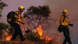 Un pedido de auxilio estaría detrás de un devastador incendio en una isla de California