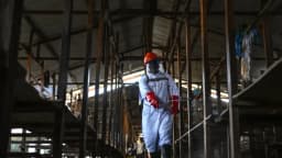 Brote de ébola aumenta a más de 900 casos sospechosos