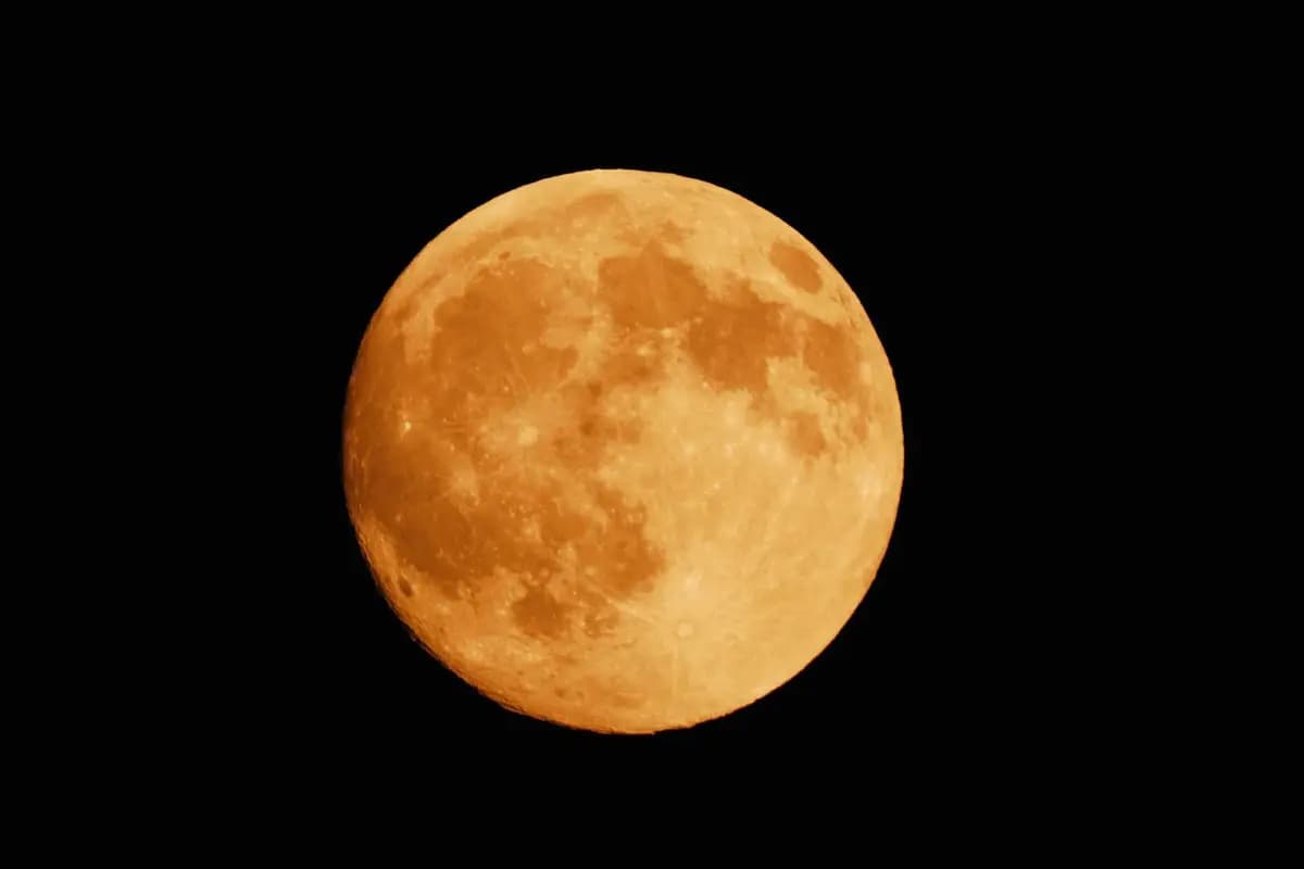 Las lunas como la Luna de Fresa llena de junio suelen brillar con un tono dorado debido a su proximidad al horizonte; la luz de la luna debe atravesar una capa más densa de la atmósfera terrestre, que incluye humo y contaminación, lo que le da un tono amarillo anaranjado. (Shutterstock/KPG-Payless)