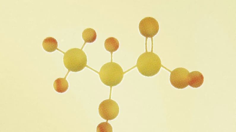 El lactato es la nueva cetona: cómo alimenta al cerebro