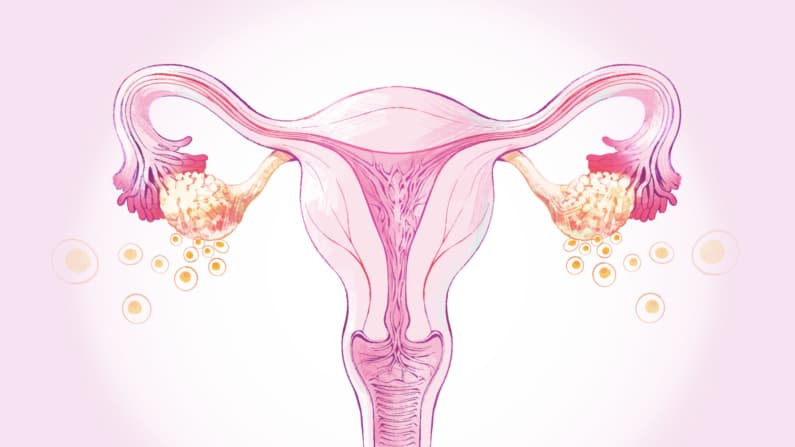 Menopausia: Una etapa natural que toda mujer vive después de los 45 y cómo aliviarla