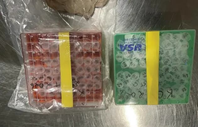 <em>Viales de laboratorio que se encontrados en un estuche negro que transportaban investigadores de los Institutos Nacionales de Salud. (FBI vía The Epoch Times).</em>