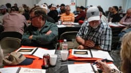 Sin nuevos casos de gusano barrenador en Texas: Departamento de Agricultura
