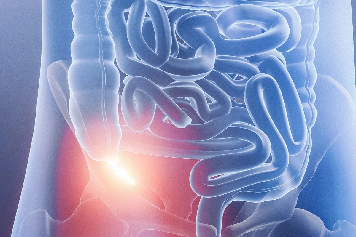 (ART-ur/Shutterstock)