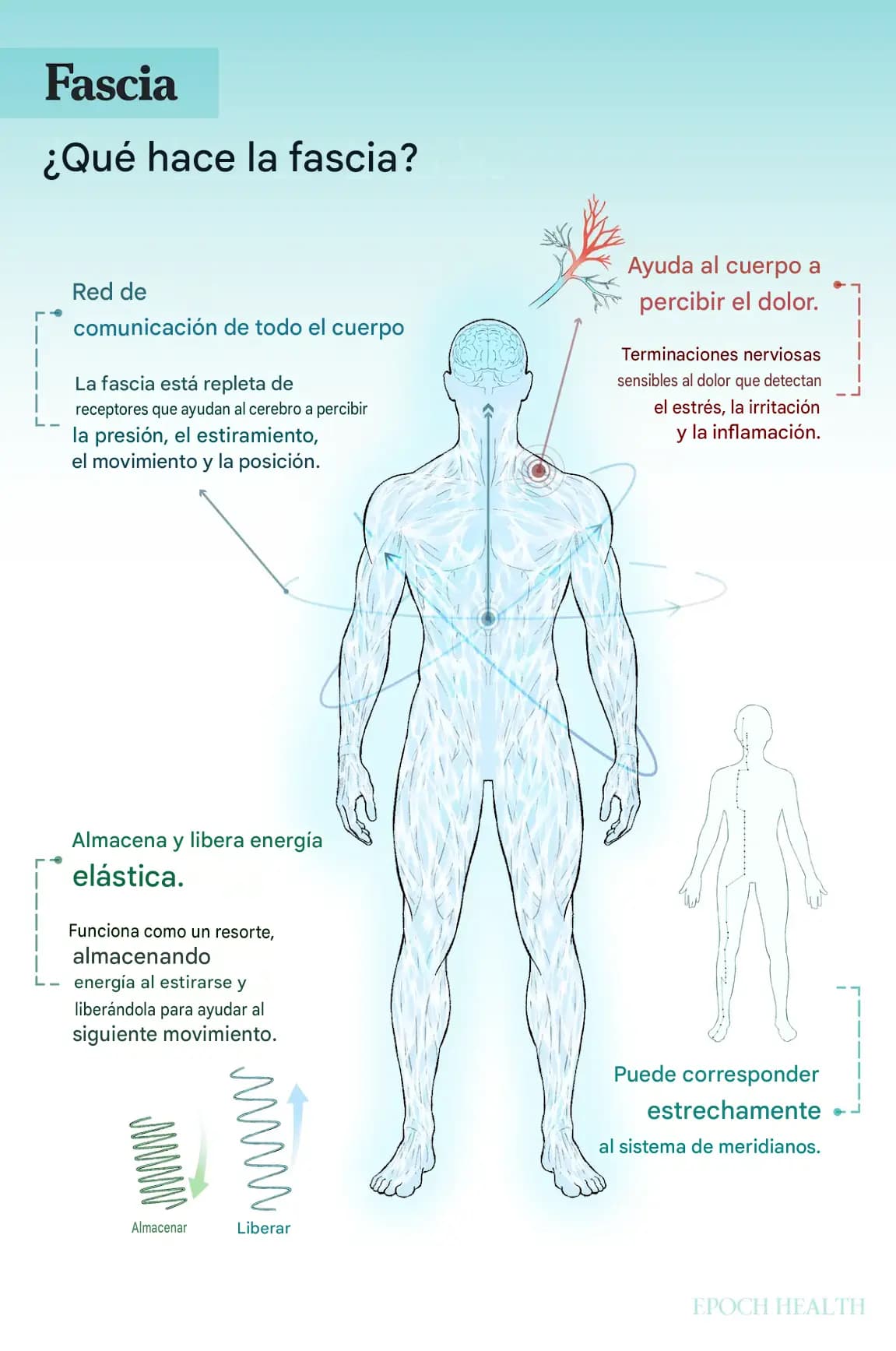 <em>Ilustración de The Epochtimes, Shutterstock</em>