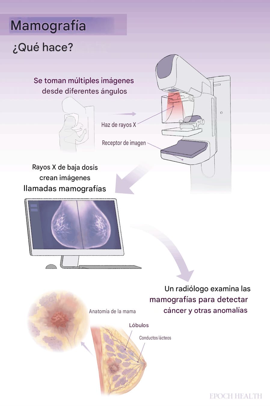 <em>Ilustración de The Epoch Times, Shutterstock</em>