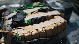 Condenan en EE. UU. a mexicano que operaba para "La Dama de Hierro" traficando cocaína desde Colombia