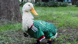 Merlín es nombrado embajador del Mundial 2026, confirma la FIFA
