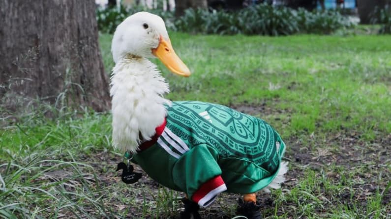 Merlín es nombrado embajador del Mundial 2026, confirma la FIFA