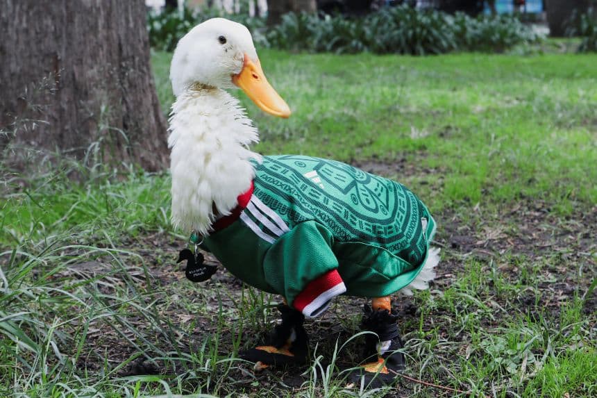 Foto de Merlín con su playera de la selección mexicana. (Créditos: Reuters)