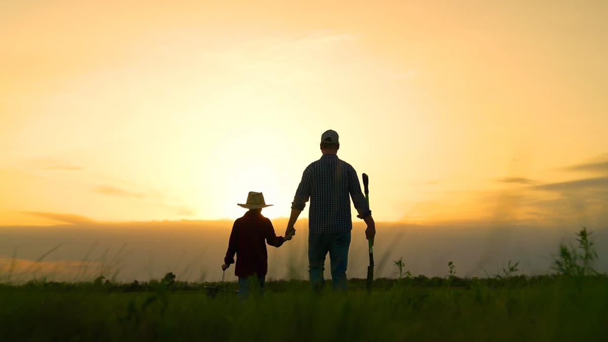 (Dream Inspirations/Shutterstock)