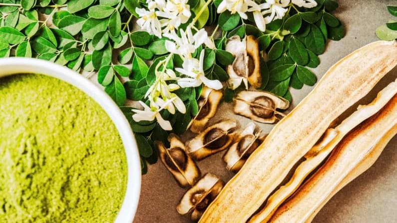 Moringa: superalimento ancestral que nutre el cerebro y fortalece la inmunidad