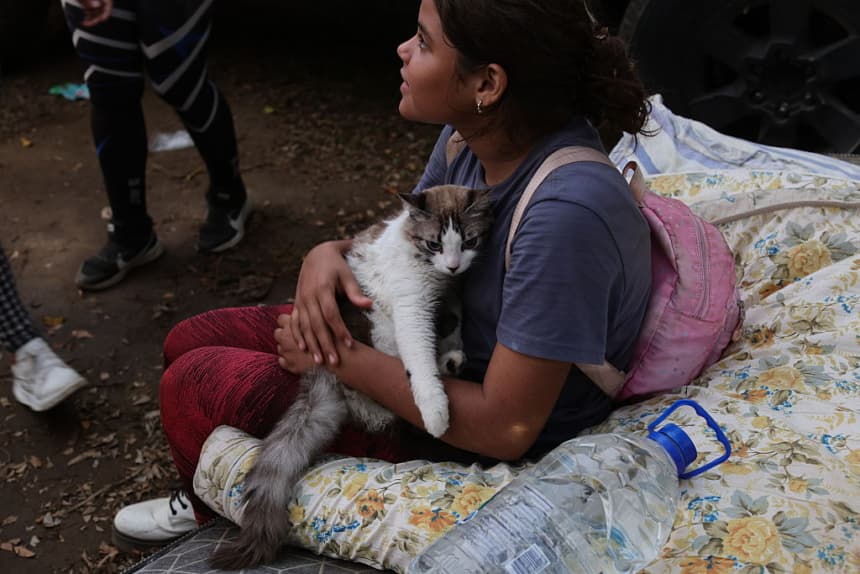 <em>Imagen ilustrativa: Una mujer cuida a un gato en un refugio en el Caraballeda Golf & Yacht Club en el sector de La Guaira, después de que un terremoto de magnitud 7.2 azotara Venezuela y otras regiones del Caribe el 29 de junio de 2026, en Caraballeda, La Guaira, Venezuela. (Jesus Vargas/Getty Images)</em>
