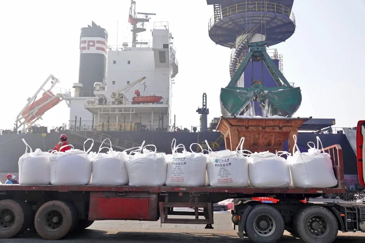 <em>Trabajadores descargan fertilizante de potasio importado de Bielorrusia por la empresa estatal Sino-Agri de un barco en un puerto de Yantai, provincia de Shandong, China, el 9 de marzo de 2022. (Tang Ke/Future Publishing vía Getty Images).</em>