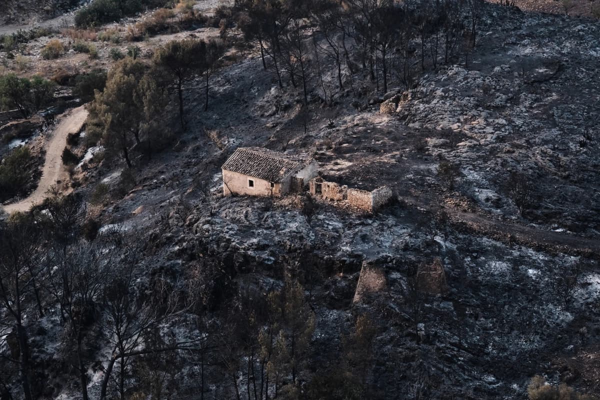 Cientos de bomberos combaten incendio forestal en el sur de España que deja al menos 12 muertos