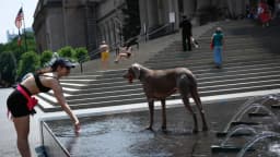 Emiten alertas ante el aumento repentino de la demanda de electricidad debido a la ola de calor