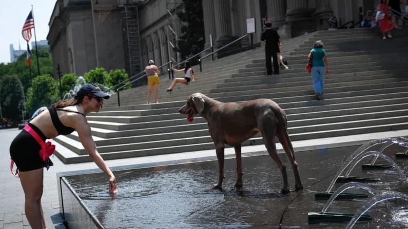 Emiten alertas ante el aumento repentino de la demanda de electricidad debido a la ola de calor