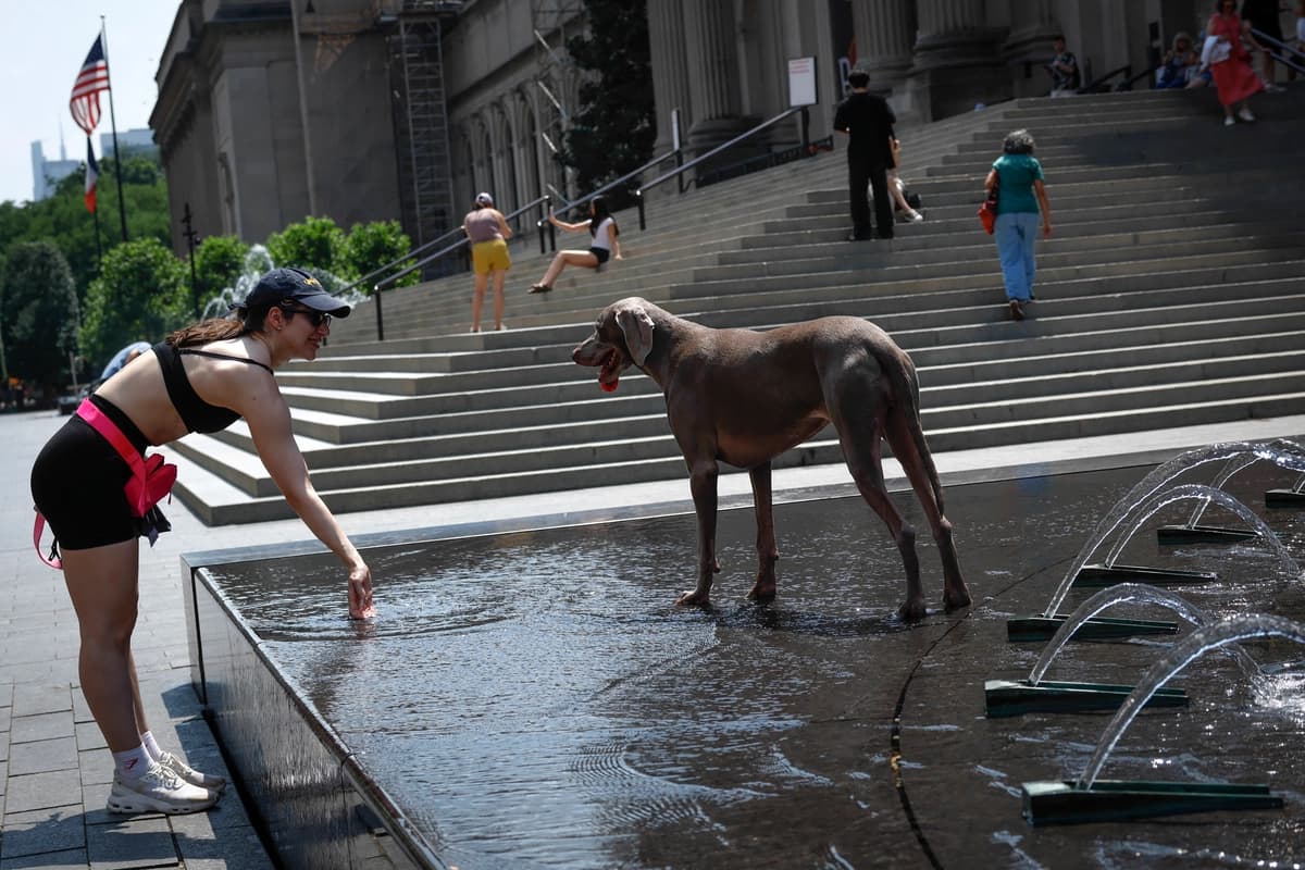 Una mujer refresca a un perro en una fuente de agua durante una ola de calor en la ciudad de Nueva York, el 1 de julio de 2026. (Kena Betancur/AFP vía Getty Images)