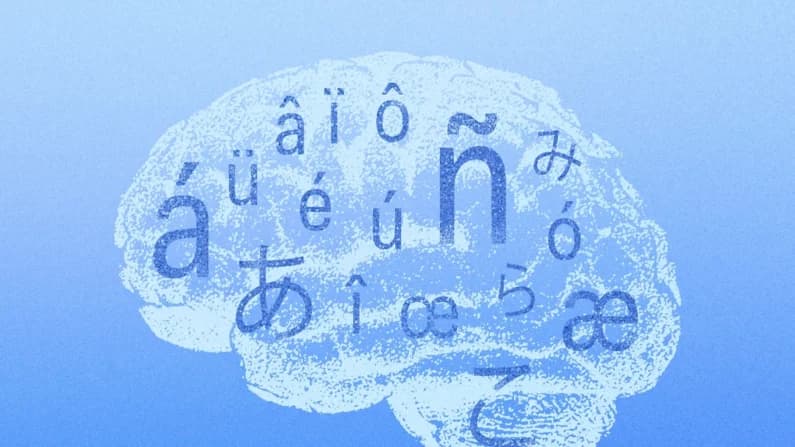 ¿Quiere un cerebro más joven? Estudie otro idioma
