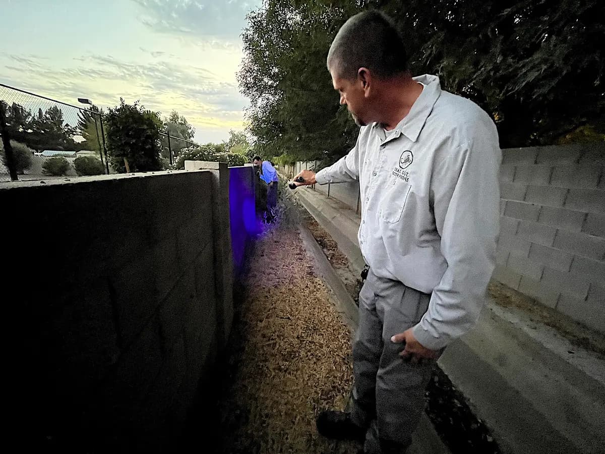 Mike Golleher, especialista en escorpiones, busca escorpiones de la corteza a lo largo de la superficie del muro de un canal en Tempe, Arizona, el 24 de junio de 2026. (Allan Stein/The Epoch Times)
