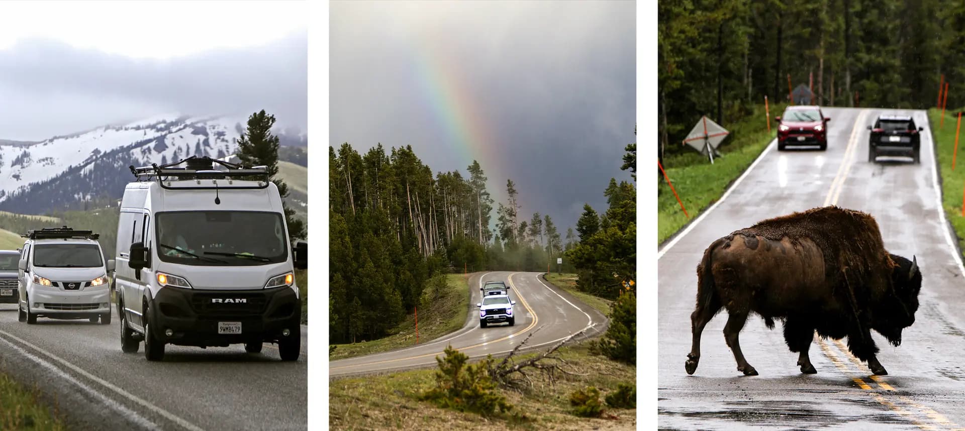 (Izquierda) Los automóviles circulan por la carretera panorámica entre Canyon Village y Tower-Roosevelt en el Parque Nacional de Yellowstone el 31 de mayo de 2026. (Centro) Un arcoíris se asoma a través de un claro entre las nubes en el Parque Nacional de Yellowstone el 31 de mayo de 2026. (Derecha) Un bisonte cruza la carretera U.S. 212 en el Parque Nacional de Yellowstone el 31 de mayo de 2026. (Bobby Sánchez/The Epoch Times).