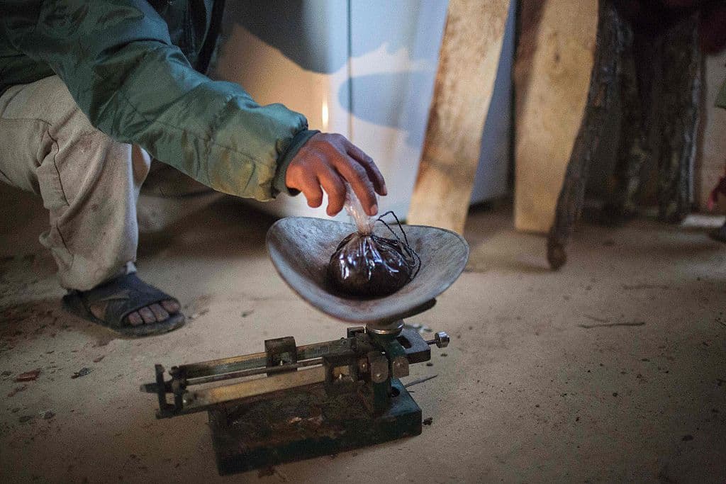 <em>Imagen de archivo: un hombre pesa goma de opio extraída de un cultivo de amapola en México, en medio de la disputa de los cárteles por el control territorial y las rutas del narcotráfico hacia Estados Unidos. (Pedro Pardo/AFP vía Getty Images)</em>