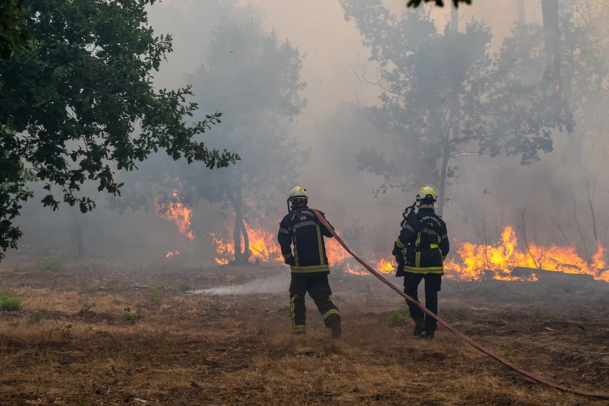 Bomberos rocían agua sobre un bosque en llamas en la región de Lège-Cap-Ferret, en el oeste de Francia, el 24 de julio de 2026. (Foto de Caroline Blumberg/AP).
