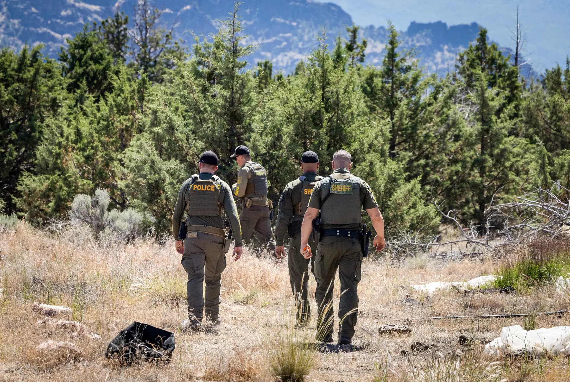 Agentes de la Oficina del Sheriff del condado de Siskiyou participan en una operación contra plantaciones ilegales de marihuana en las afueras de Montague, California, el 4 de junio de 2026. (John Fredricks/The Epoch Times)