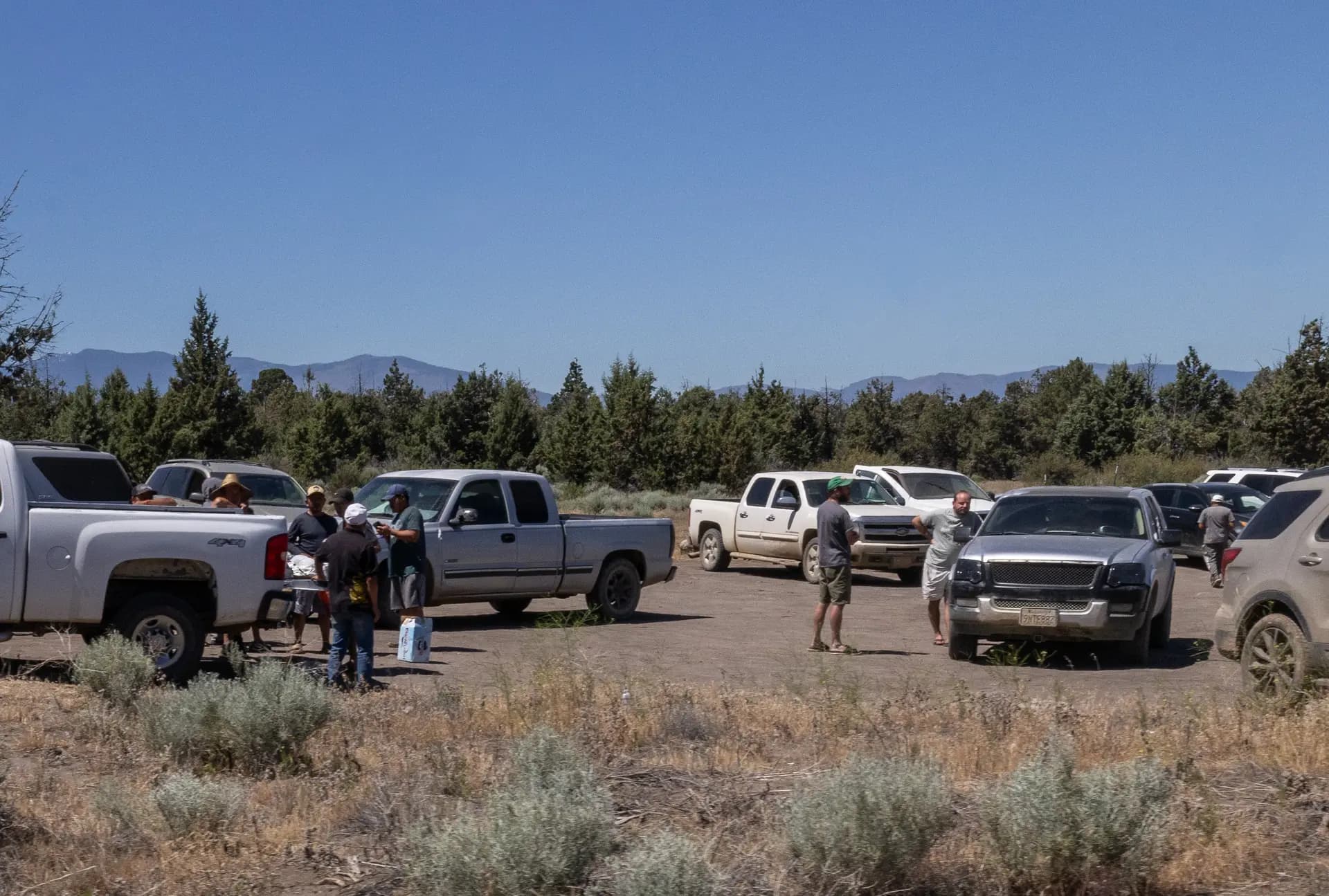 Unos hombres esperan mientras agentes de policía investigan plantaciones ilegales de marihuana en las afueras de Montague, California, el 4 de junio de 2026. (John Fredricks/The Epoch Times)