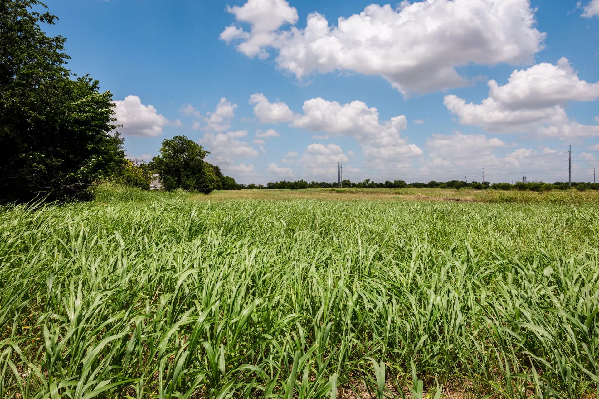 El sitio de un posible centro de datos en Taylor, Texas, el 1 de julio de 2026. Los propietarios del terreno querían donarlo para que se convirtiera en un parque, de modo que los niños del vecindario tuvieran un lugar donde jugar, según afirman los residentes de Taylor. (Cathlin McCullough para The Epoch Times).
