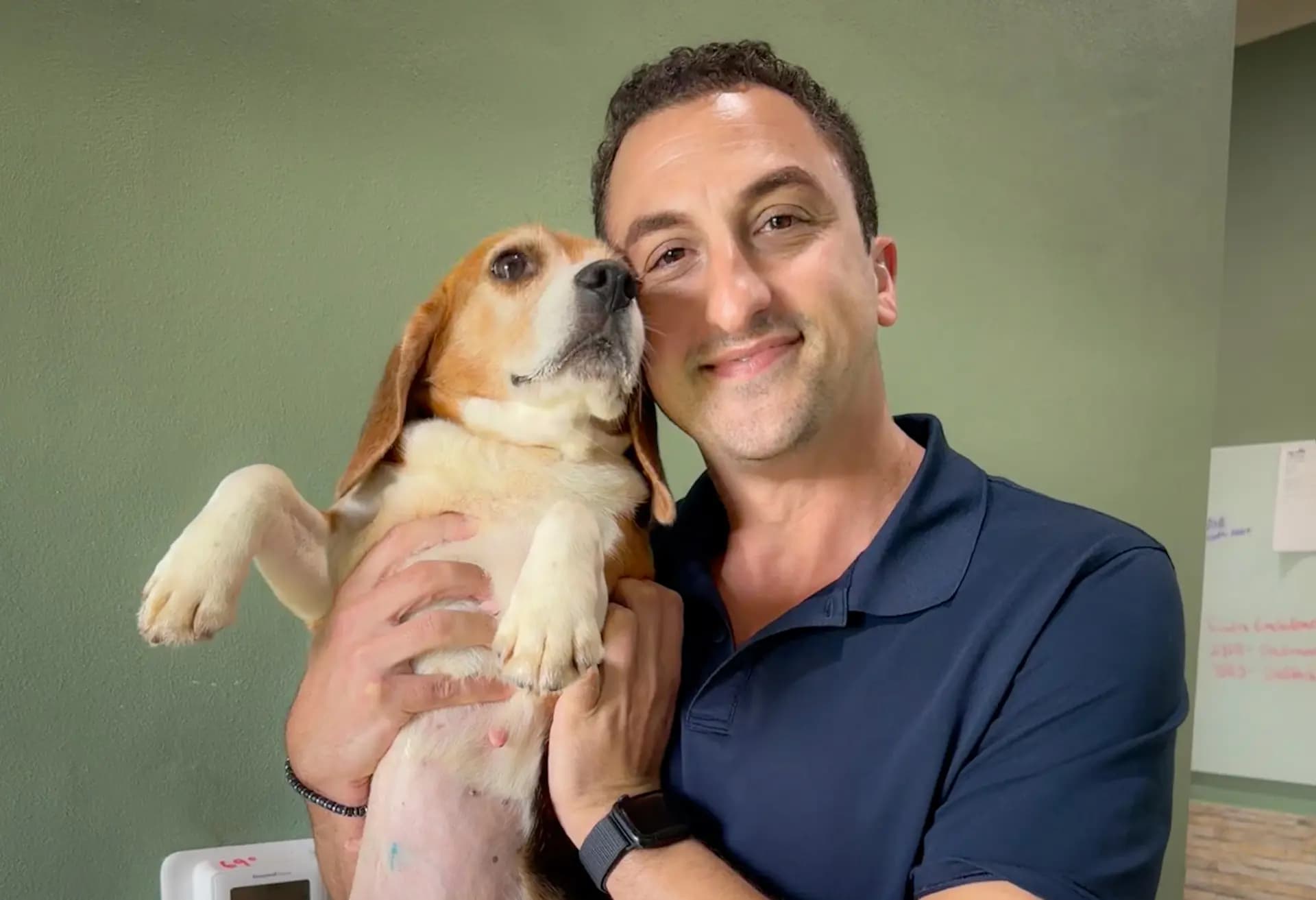 Evan Nader, vicepresidente de desarrollo de Big Dog Ranch Rescue, sostiene a un beagle disponible para adopción en las instalaciones de Loxahatchee Groves, Florida, el 14 de julio de 2026. (Cortesía de Juliana Gómez, Big Dog Ranch Rescue).