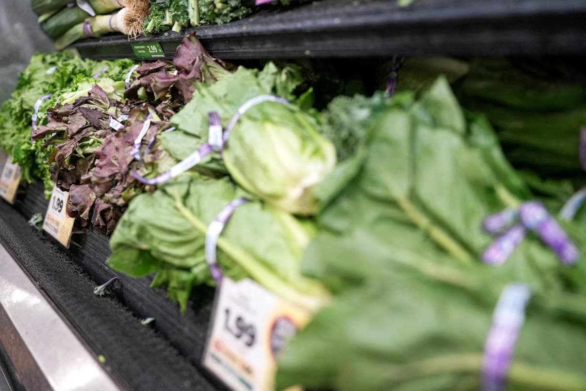 Lechuga expuesta en un supermercado de Washington el 24 de julio de 2026. (Nathan Howard/Reuters).