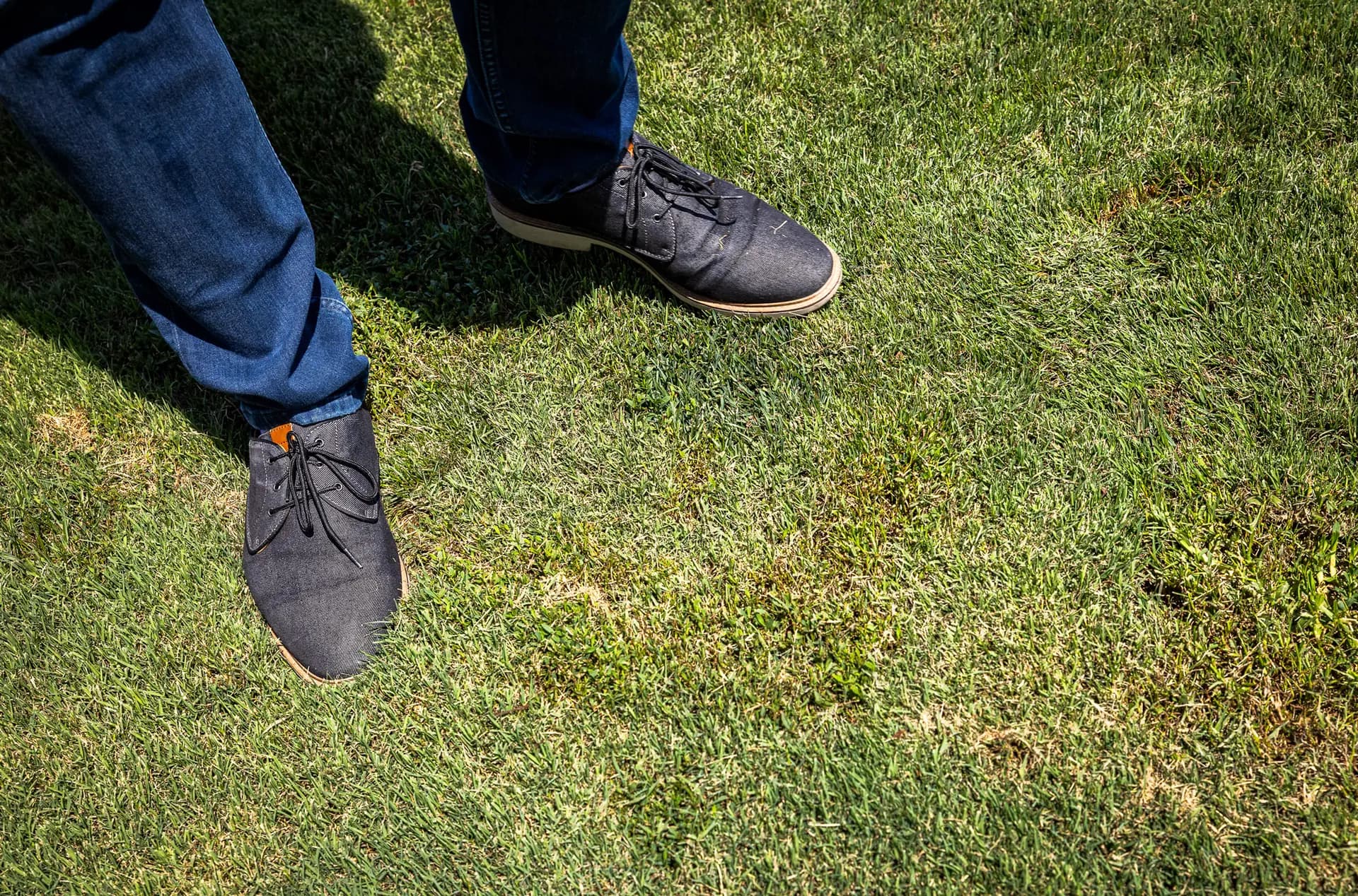 Pasto en Ladera Ranch, California, el 24 de julio de 2026. (John Fredricks/The Epoch Times)